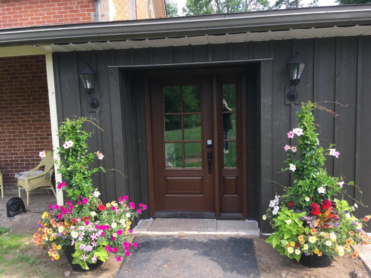 Sawyer'S Creek Bed And Breakfast Algonquin Highlands 外观 照片